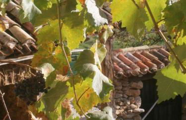 Alojamientos Manzanela - Photo 23