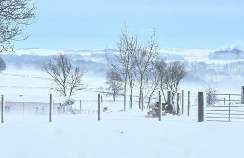 The Vogue Lodge - Photo 10