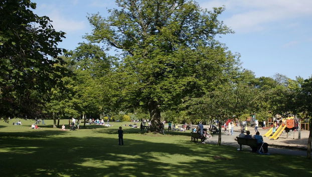 Detalle del exterior