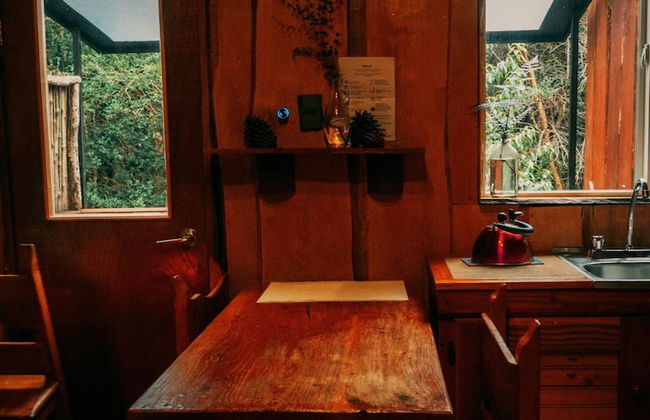 Cabañas Ensenada Bosque Nativo - Foto 19