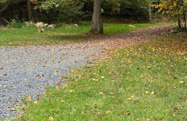 Serene Cabin between Fayetteville& Summerville WV - Foto 44