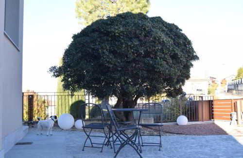 Fenocchio's House - Foto 69