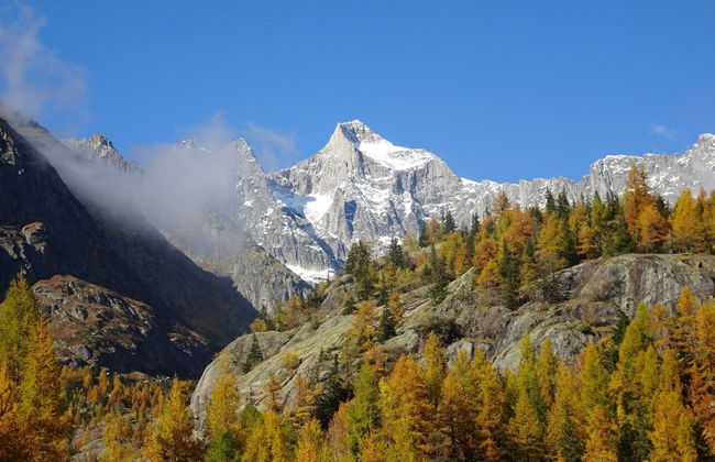 LuxLax 2. OG Süd - Foto 42