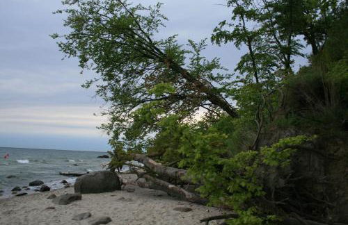 Villa Minna mit großem Balkon - Foto 6