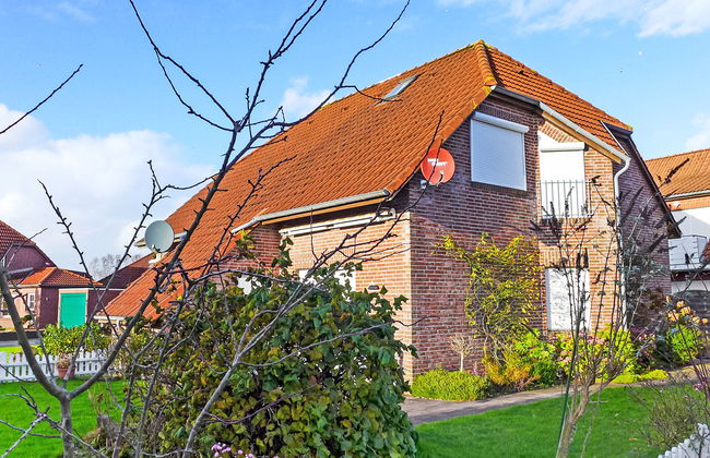 Sandmuschel - Foto 34