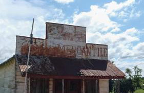 Willie's Cabin Yellow Rose Canyon - Foto 15