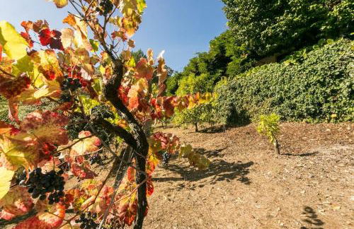 Tapadinho Nature and Pool - Countryside Villa - Foto 58