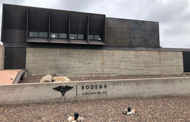 Tour privado pelas adegas do Vale do Uco - Foto 4