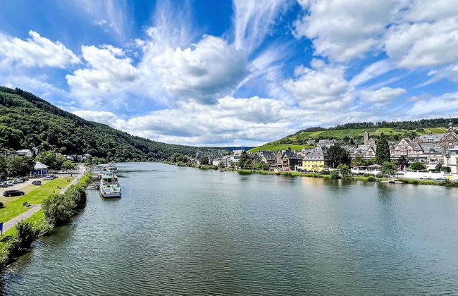 Apartment in Traben-Trarbach - Photo 31