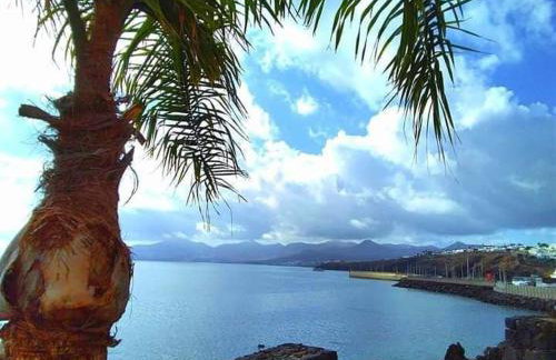 Two-bedroom apartment with two large terraces - Foto 19