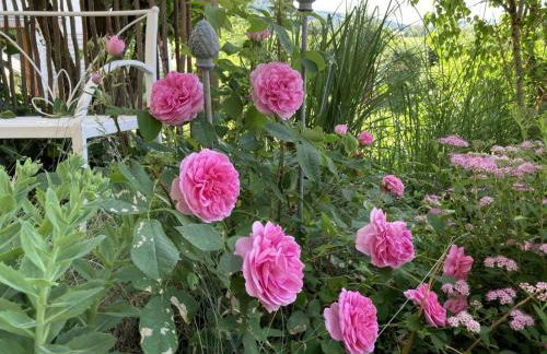 Haus am See - Foto 30