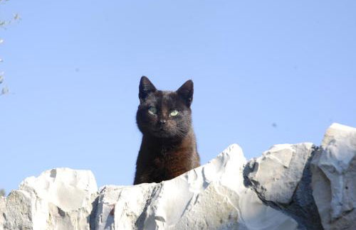 Apartments Silvana - Foto 7