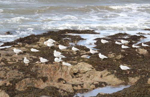 Harbour View - Foto 21