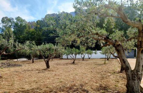 Villa Eagle - Foto 6