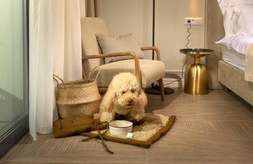 Luxury Apartments Villa Mala Split - Photo 38