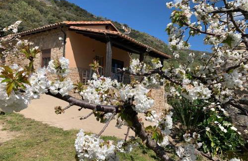 Casa Rural Canchal Madroñeras *** - Foto 2