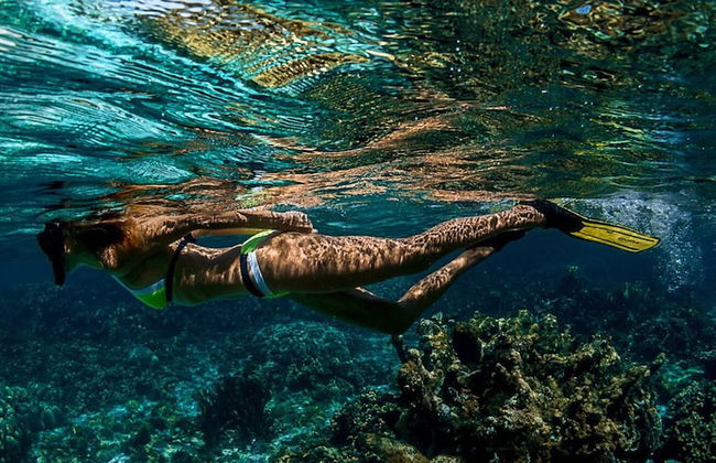 Golden Rod Villa - Foto 17