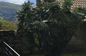 Rectoral de Prado - Foto 33