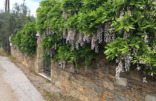 Villa Liana - Photo 34