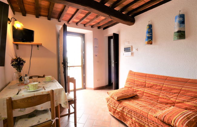 Pian dei Carpini - Chiara - Foto 7