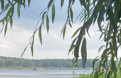 Das Naturfloß - Biberspur - Foto 8