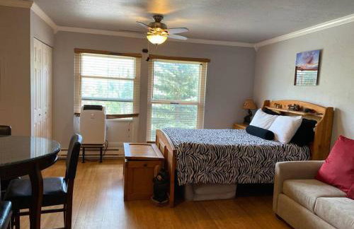 President Studio Pool-Spa Ski-in out Gym, Sauna, Laundry, BBQ - Photo 2