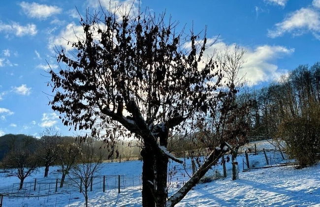 Wyzenborne - Foto 36