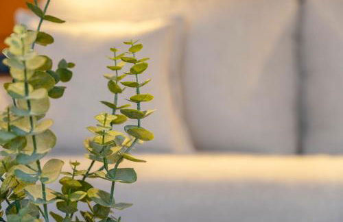 Heritage Suites Oviedo - Foto 72