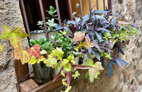 Casa Artista - Foto 30