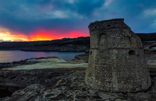 Casetta degli Ulivi - Foto 6