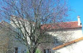 MAISON 4 chambres 12 pers à 2,8KM DU CIRCUIT et proche BOULERIES JUMP - Foto 20