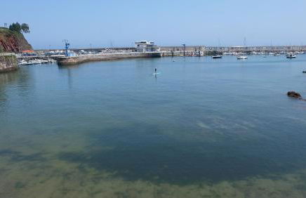 Playa de la palmera - Foto 26