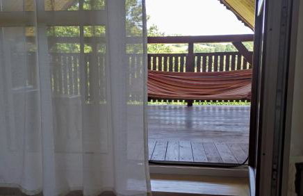 Wielgosówka - Foto 17