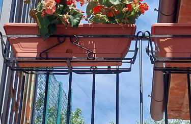 Il Fienile di Meretto - Foto 11