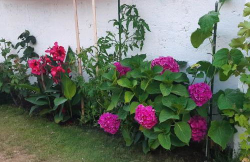 Jolie maison de pêcheur en bord de mer - Foto 18