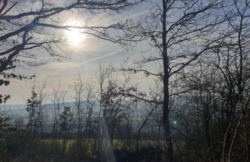 Exklusive Ferienwohnung Bad Salzschlirf - direkt am Waldrand - großer Garten kompett umzäunt - Hunde willkommen - 2 private Stellplätze - Foto 72