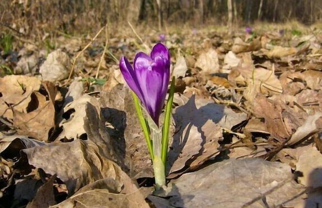 Agriturismo Al Vecchio Portico - Photo 56