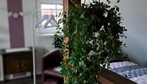 Dachstübchen mit 2 Zimmern - Foto 4