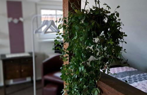 Dachstübchen mit 2 Zimmern - Photo 4