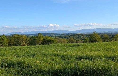 Michałówka Michaelhof - Foto 57