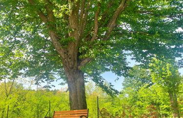 Villa Meadow - Foto 35