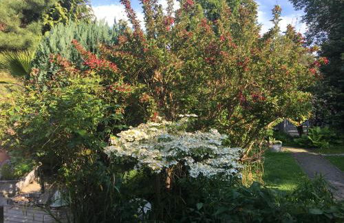 Apartment TinyHouse mit Pool, Outdoor Whirlpool und Garten - Foto 36