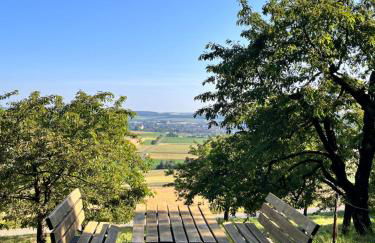 Ferienhaus Weinbergblick - nahe Würzburg - 2 Schlafzimmer - Familienfreundlich - Terrasse - Foto 52