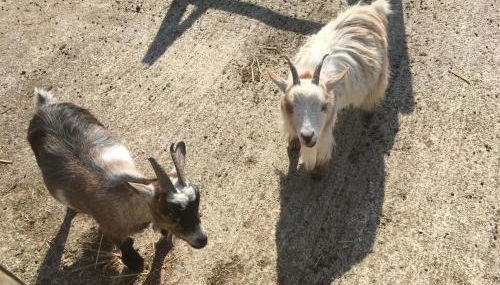 3 Bed Cottage-Sleeps 6-Garden-Hot Tub-Games Room - Foto 4