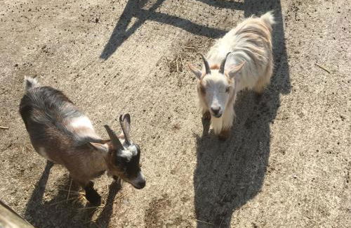 3 Bed Cottage-Sleeps 6-Garden-Hot Tub-Games Room - Photo 4