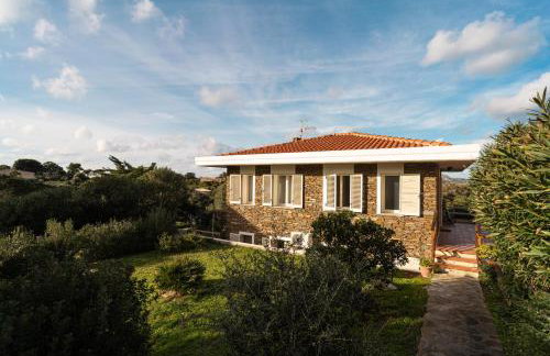 BuenaVista - Photo 4