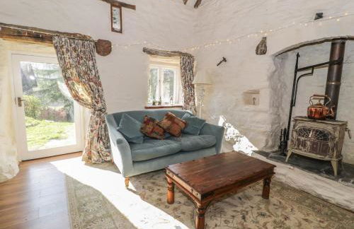 Old Ty'n Y Wern - Foto 5