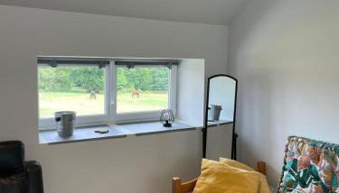 Gîte à la campagne groupe et famille 3 chambres Espace Jacuzzi hammam SPA - Photo 4