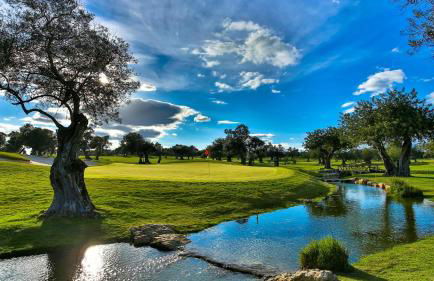 Casa de praia - Foto 6