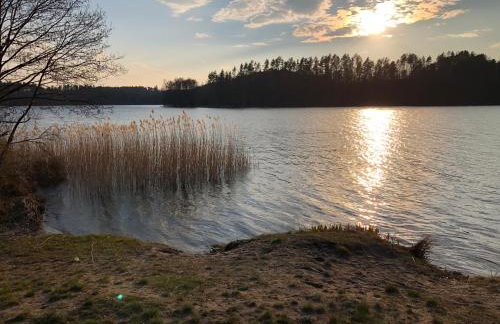 Family House Gowidlino - Foto 24